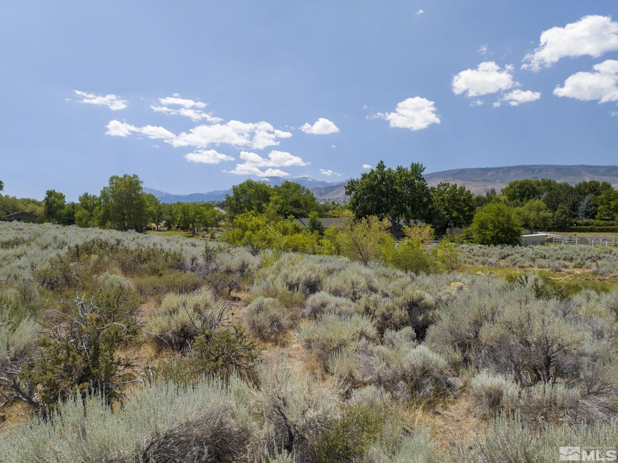 19 Glenhaven Drive Reno, NV 89511 - Photo 19 of 25 a view of a bunch of trees in a field