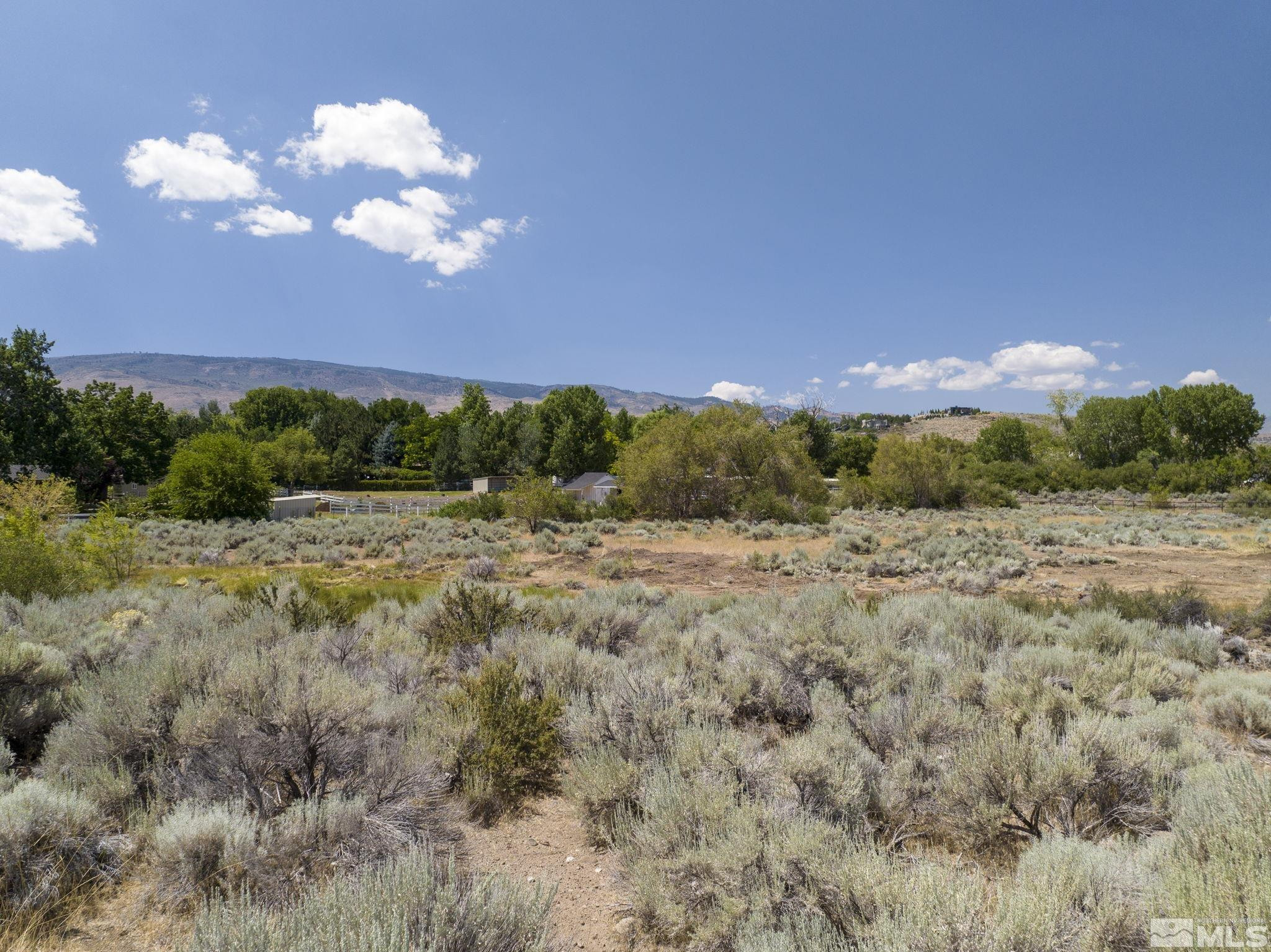 19 Glenhaven Drive Reno, NV 89511 - Photo 20 of 25 a view of a big yard with lots of bushes