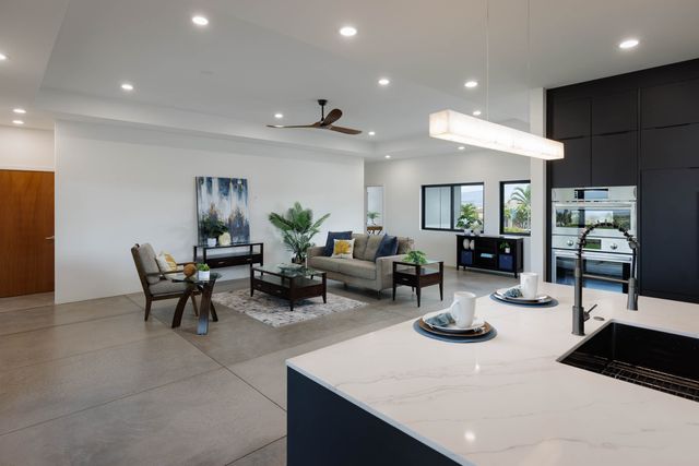 a living room with furniture and a potted plant