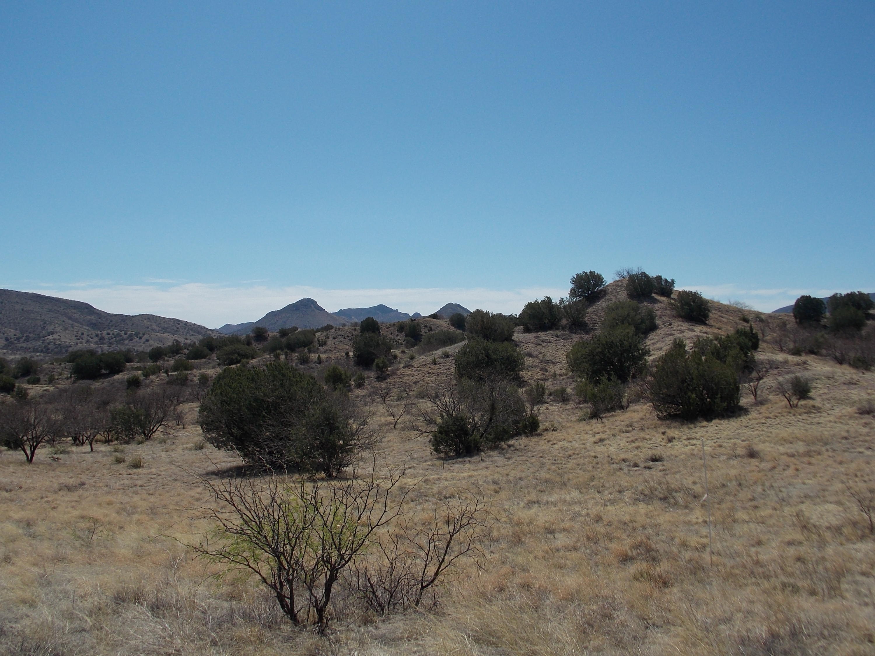 154 Tanglehead, Unit 44 Patagonia, AZ 85624 - Photo 1 of 15