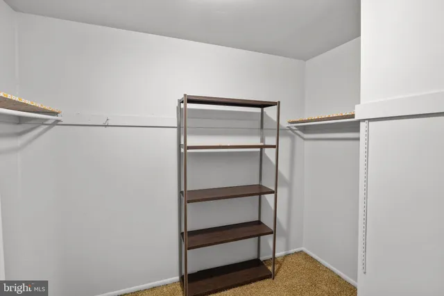 a view of an empty walk in closet