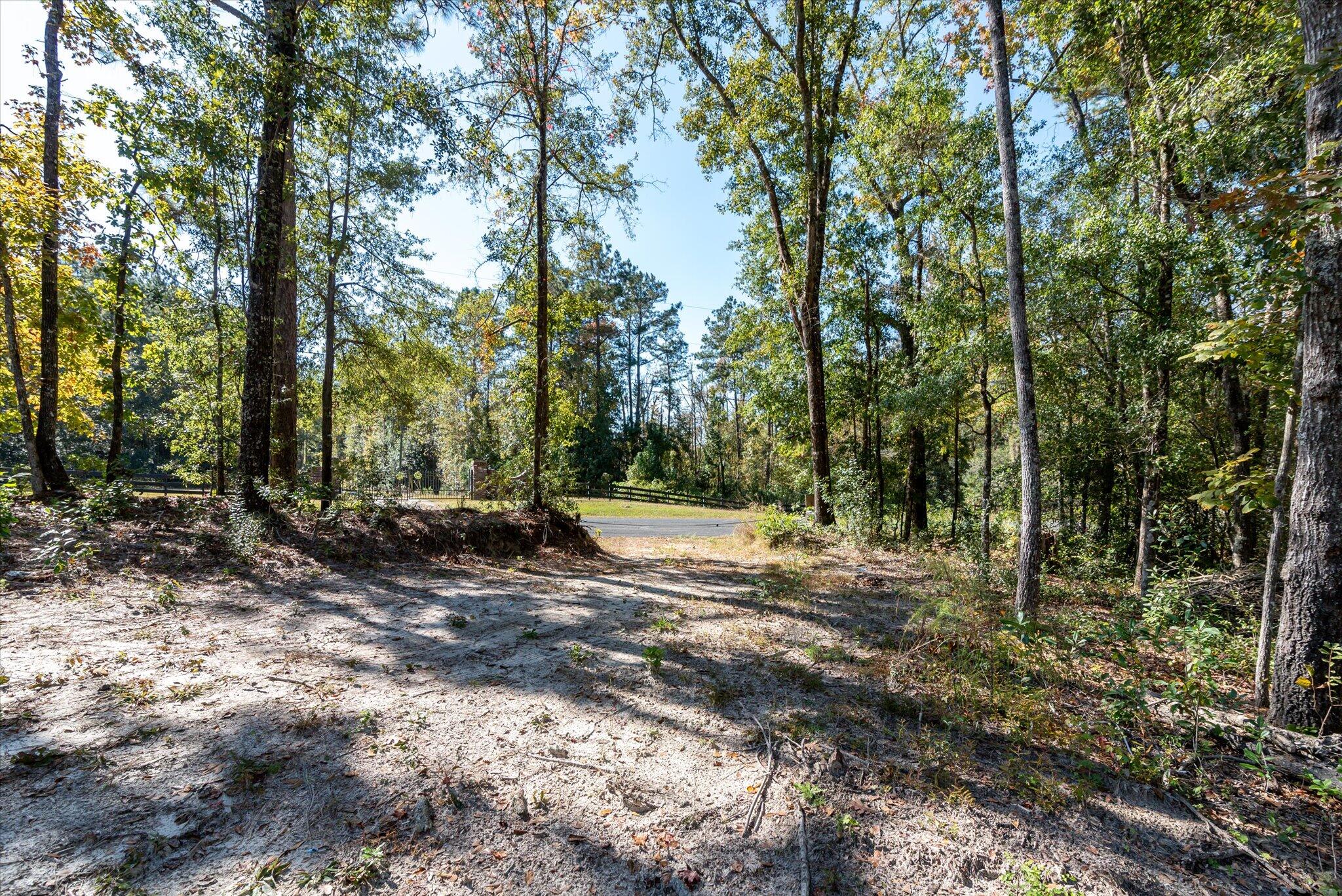 3022 Burlington Road Walterboro, SC 29488 - Photo 1 of 13 39-3022 Burlington