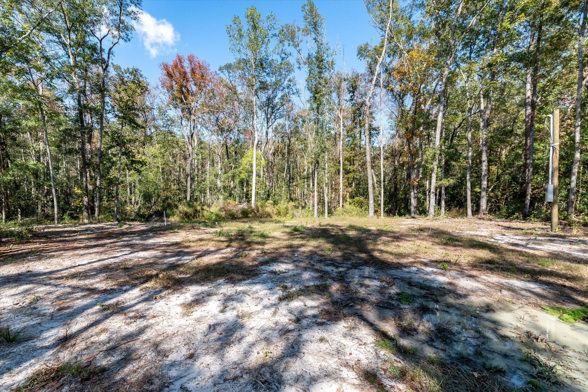 3022 Burlington Road Walterboro, SC 29488 - Photo 4 of 13 37-3022 Burlington