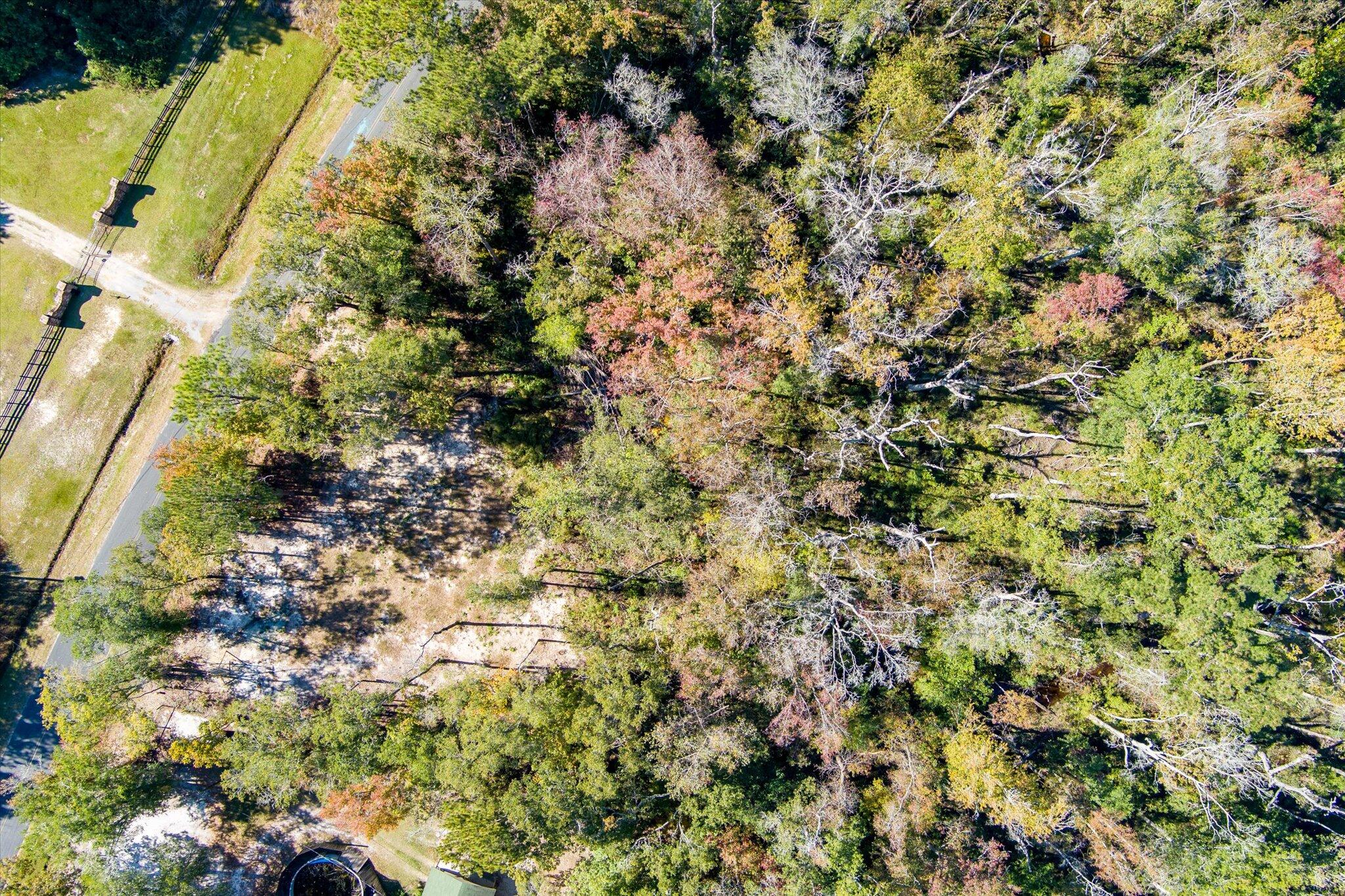 3022 Burlington Road Walterboro, SC 29488 - Photo 5 of 13 40-3022 Burlington