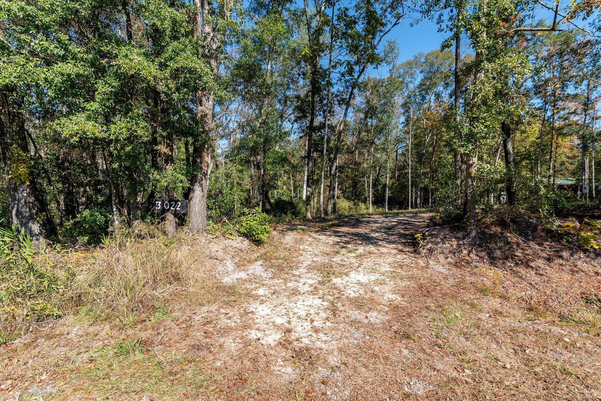 3022 Burlington Road Walterboro, SC 29488 - Photo 6 of 13 35-3022 Burlington
