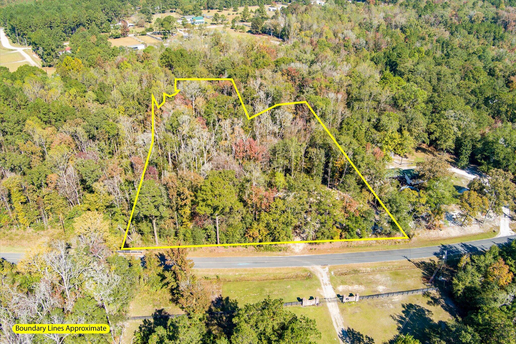 3022 Burlington Road Walterboro, SC 29488 - Photo 7 of 13 17-3022 Burlington