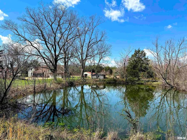 a view of river covered by trees and buildings