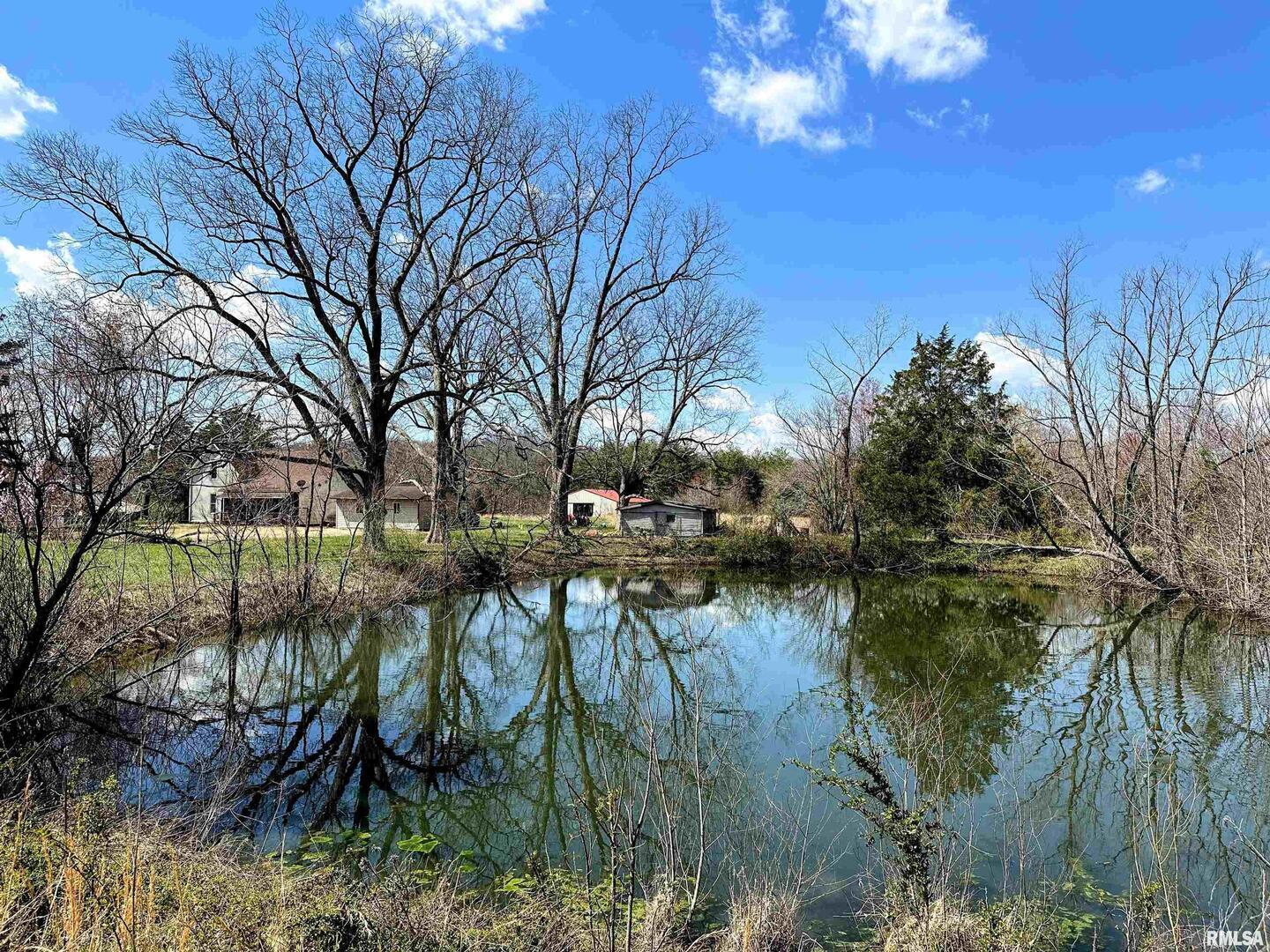 1925 Murphy Road Creal Springs, IL 62922 - Photo 5 of 11 a view of river covered by trees and buildings