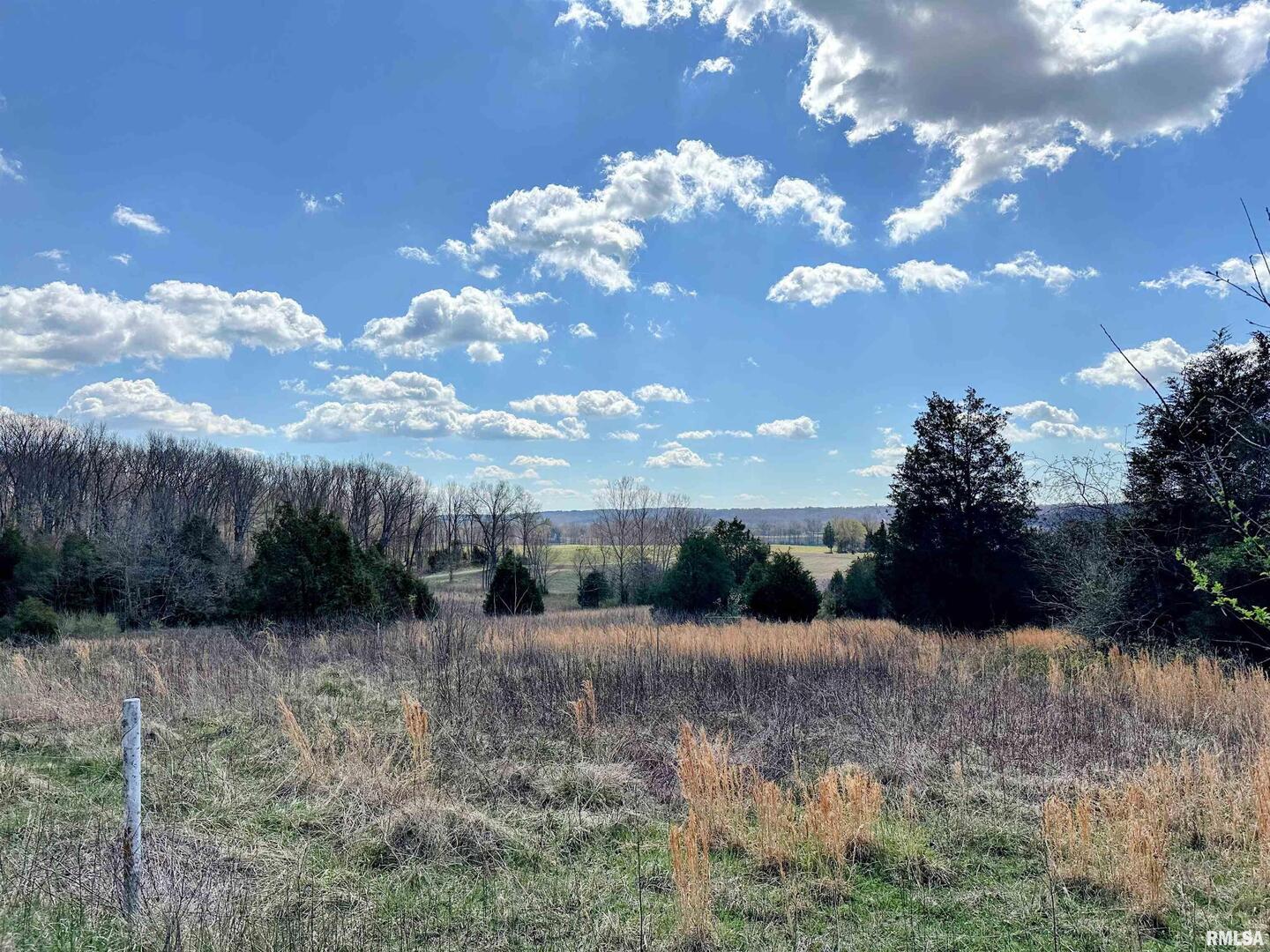 1925 Murphy Road Creal Springs, IL 62922 - Photo 6 of 11 a view of a backyard