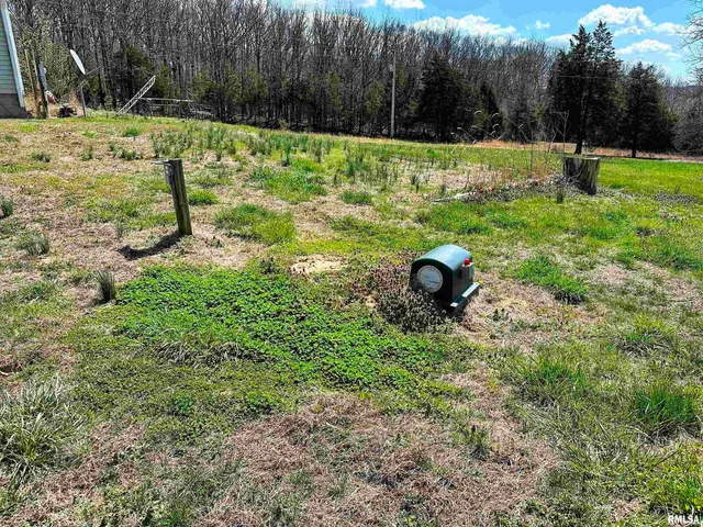 a view of a big yard with plants and large trees