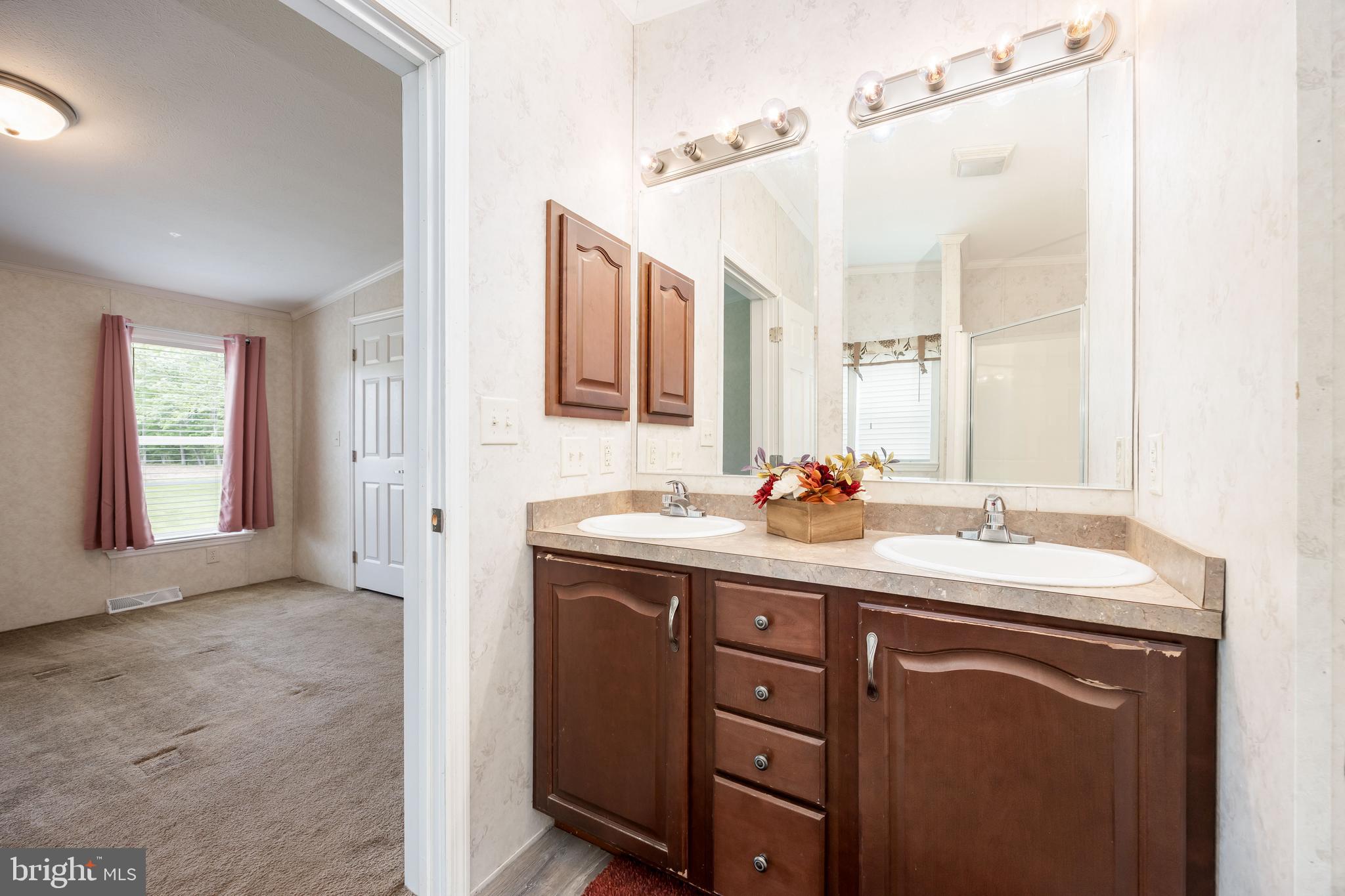 4258 Smith Road Salisbury, MD 21801 - Photo 34 of 43 a bathroom with a sink and a mirror