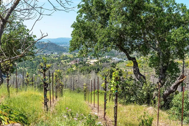 $3,100,000 | 1888 Crystal Springs Court, Santa Rosa, CA 95404