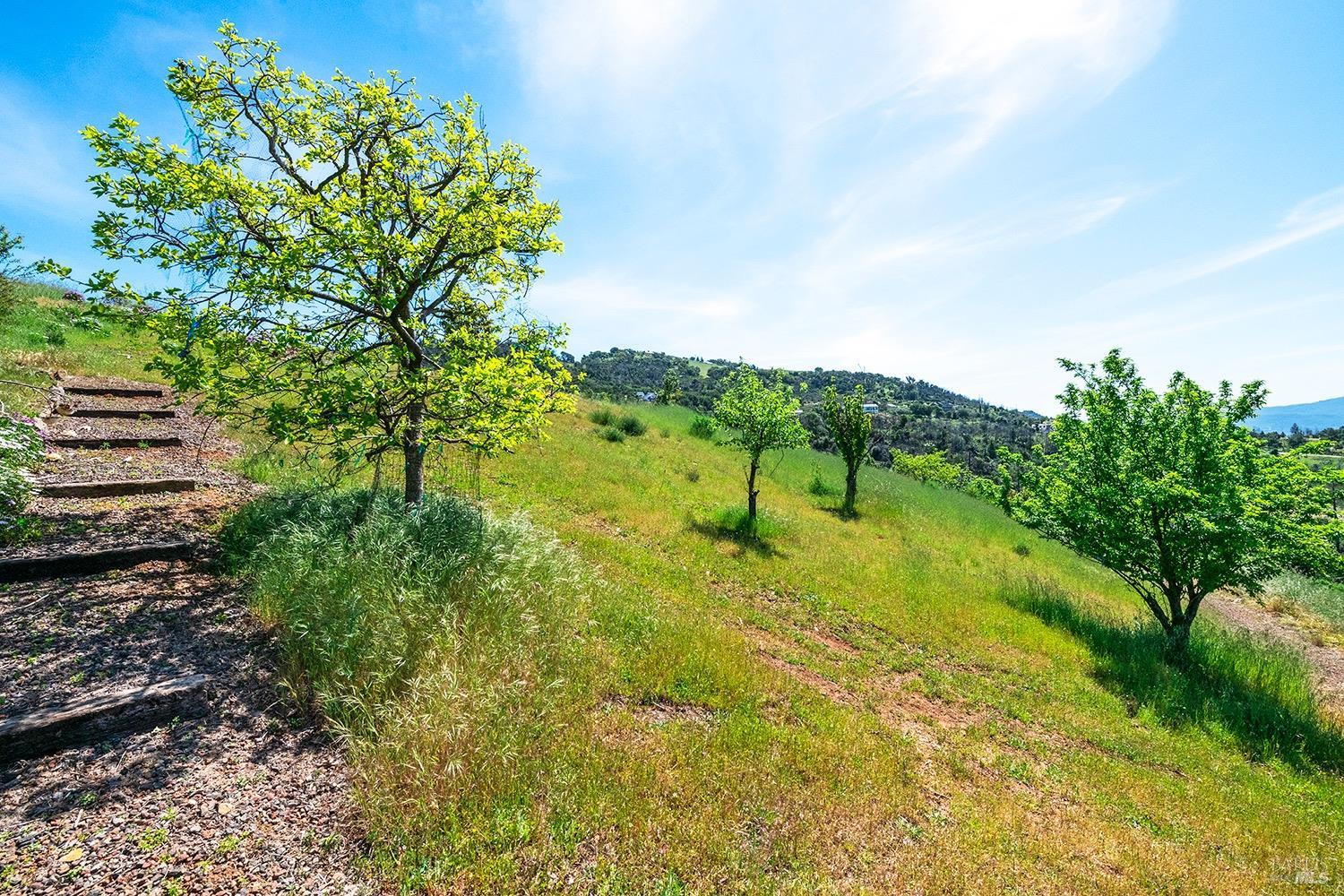 1888 Crystal Springs Court Santa Rosa, CA 95404 - Photo 11 of 27
