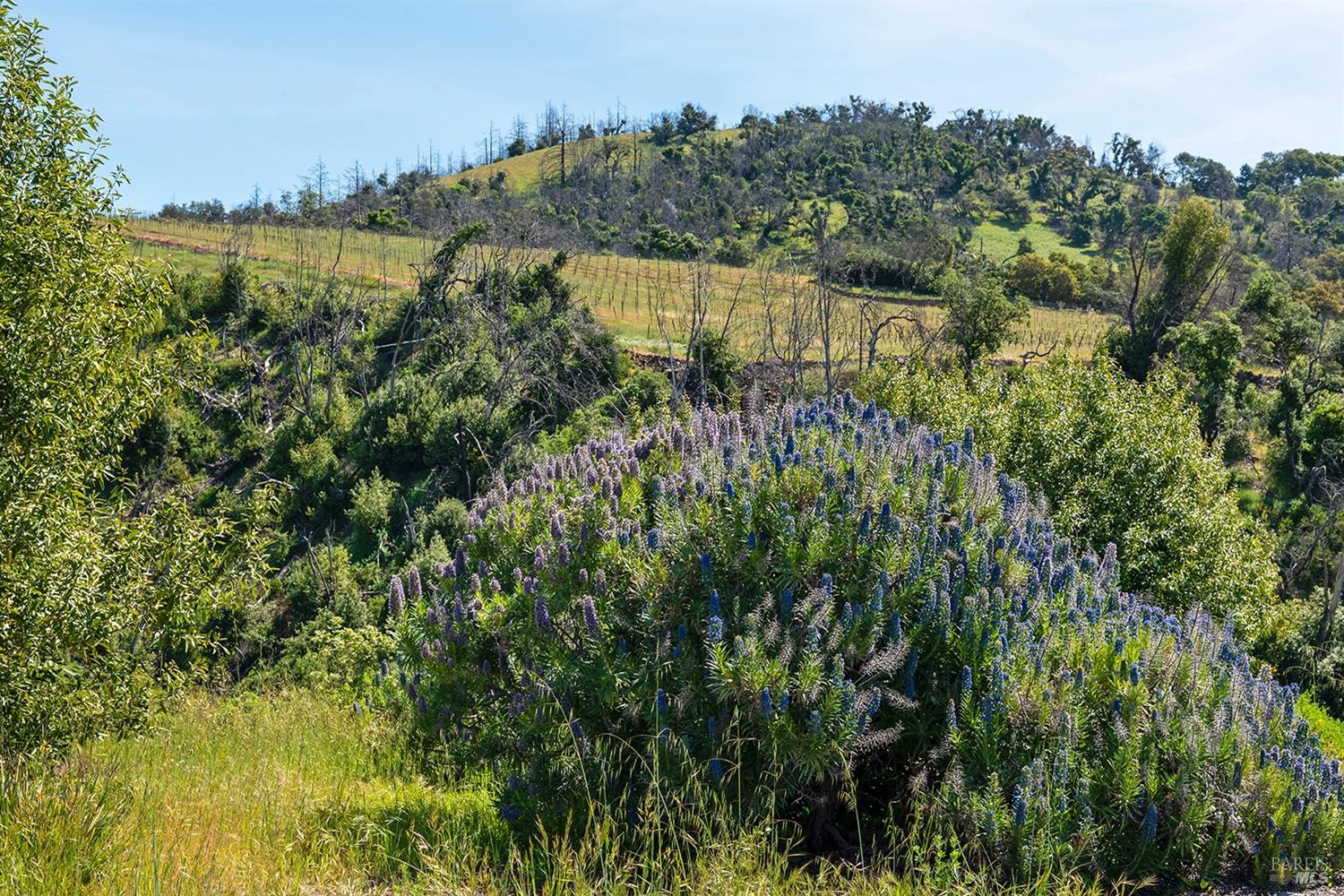 1888 Crystal Springs Court Santa Rosa, CA 95404 - Photo 13 of 27