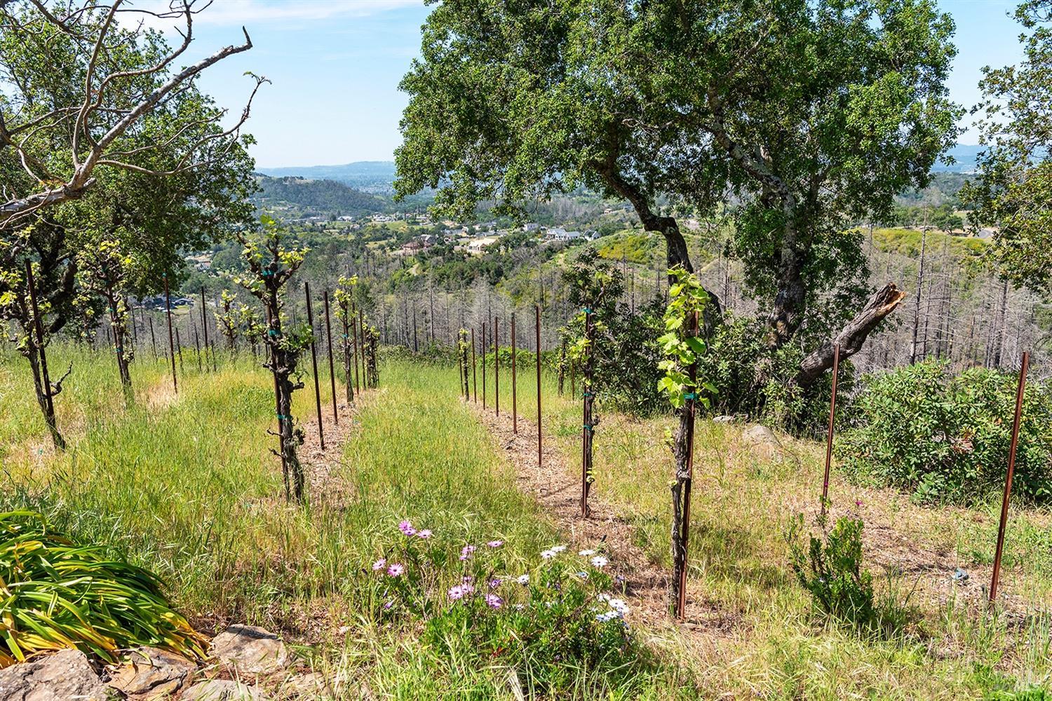 1888 Crystal Springs Court Santa Rosa, CA 95404 - Photo 16 of 27