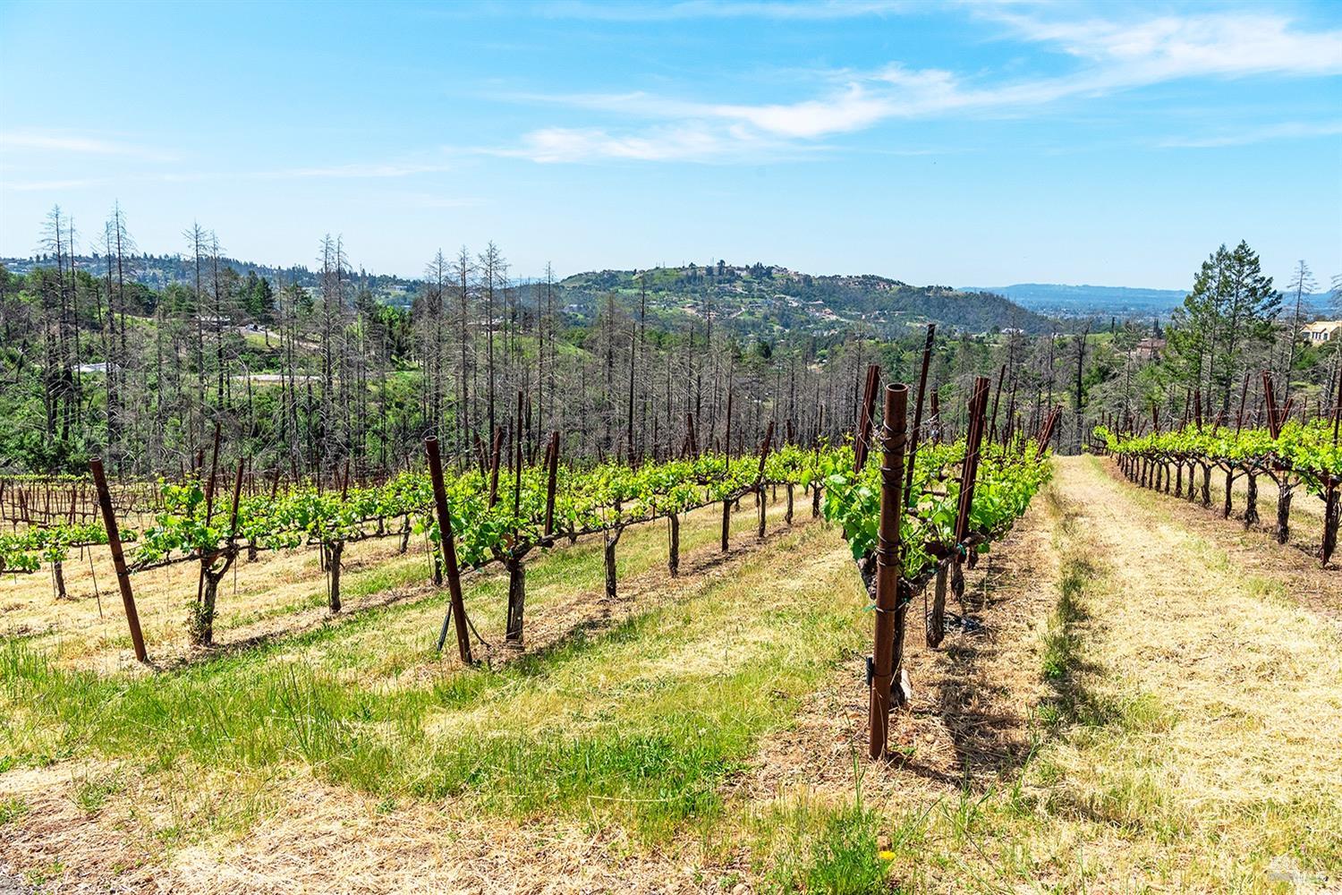 1888 Crystal Springs Court Santa Rosa, CA 95404 - Photo 18 of 27