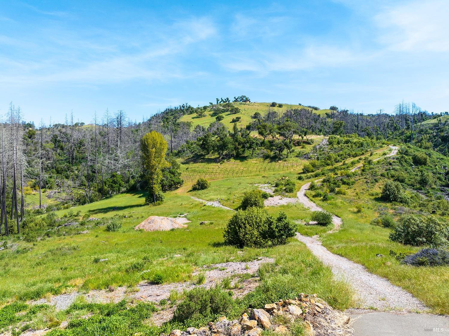 1888 Crystal Springs Court Santa Rosa, CA 95404 - Photo 19 of 27