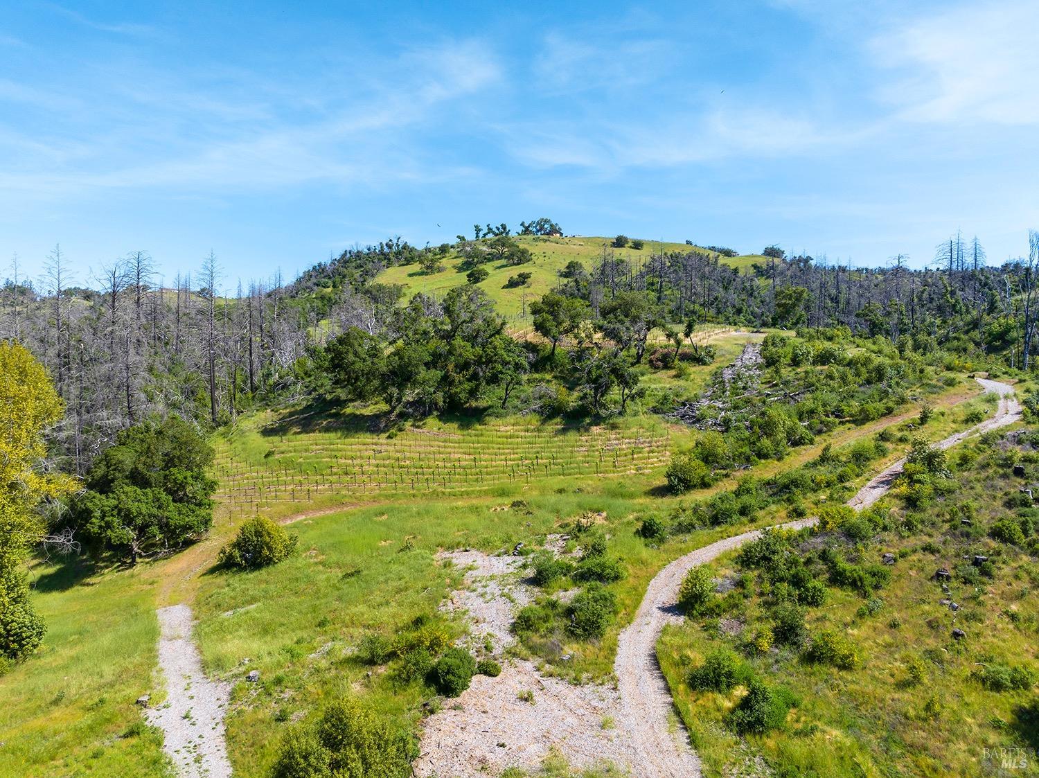 1888 Crystal Springs Court Santa Rosa, CA 95404 - Photo 20 of 27