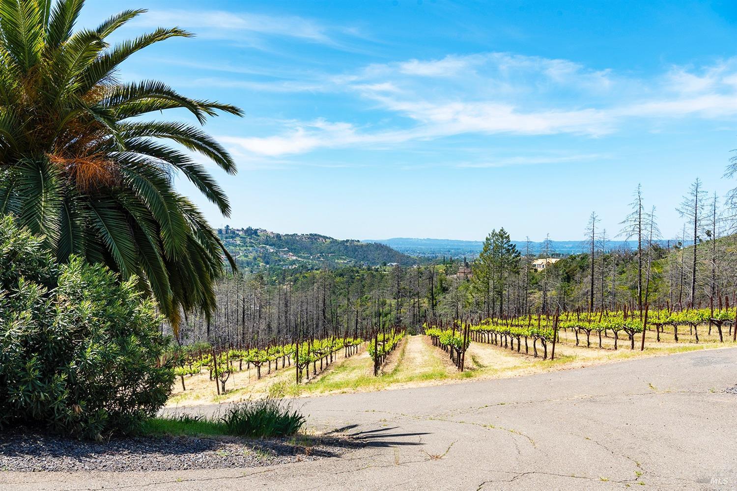 1888 Crystal Springs Court Santa Rosa, CA 95404 - Photo 4 of 27