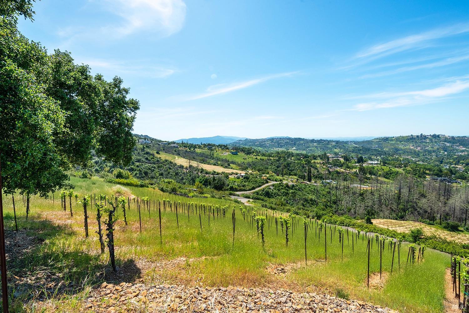 1888 Crystal Springs Court Santa Rosa, CA 95404 - Photo 10 of 27