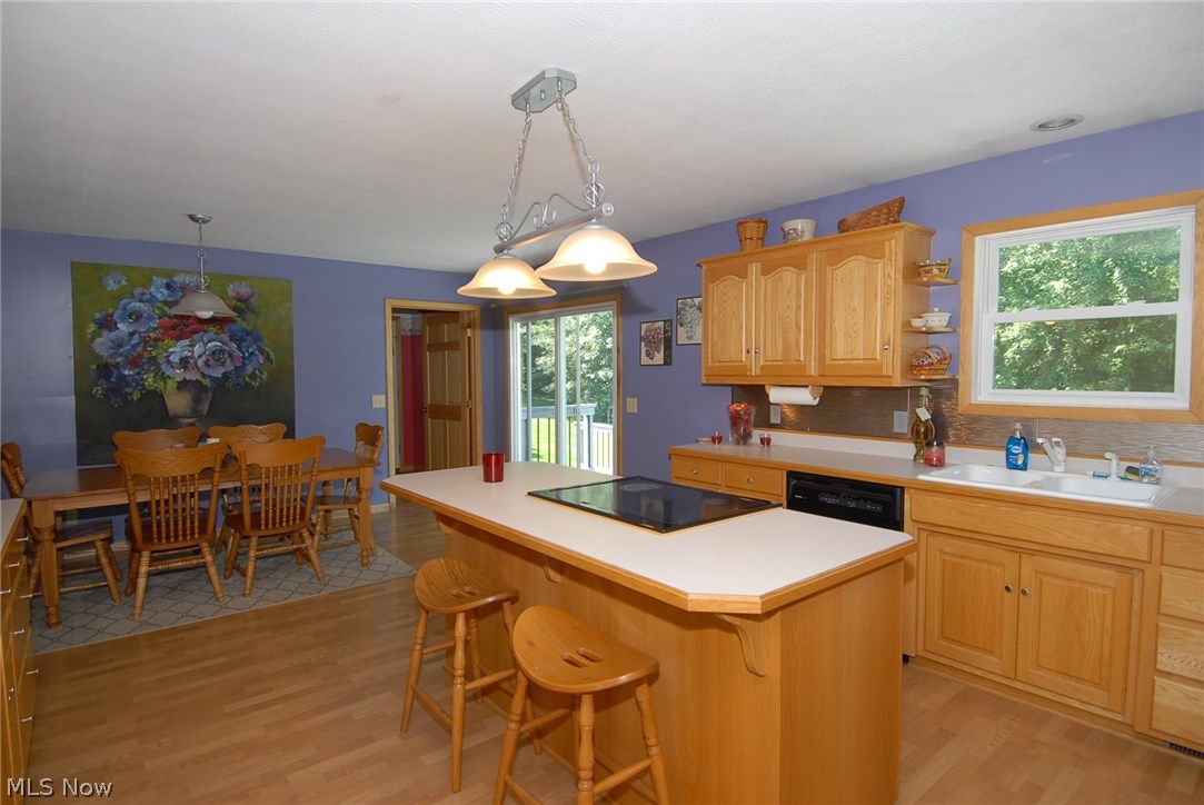 12001 Bottom Road Dresden, OH 43821 - Photo 5 of 24 Gallery Image 5