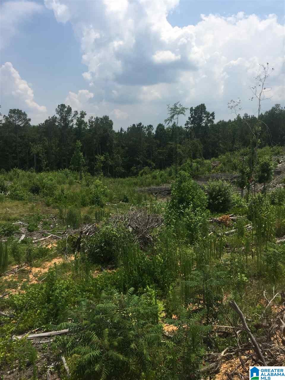 0 Rendalia Motorway, Unit 29 ACRES Talladega, AL 35160 - Photo 16 of 21
