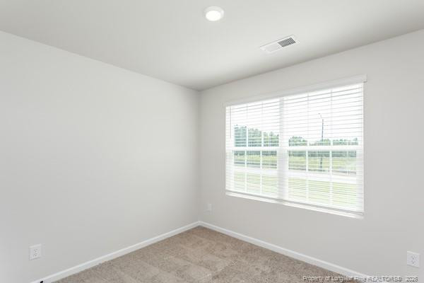 29 Laforce Lane Broadway, NC 27505 - Photo 5 of 10 Master Bedroom