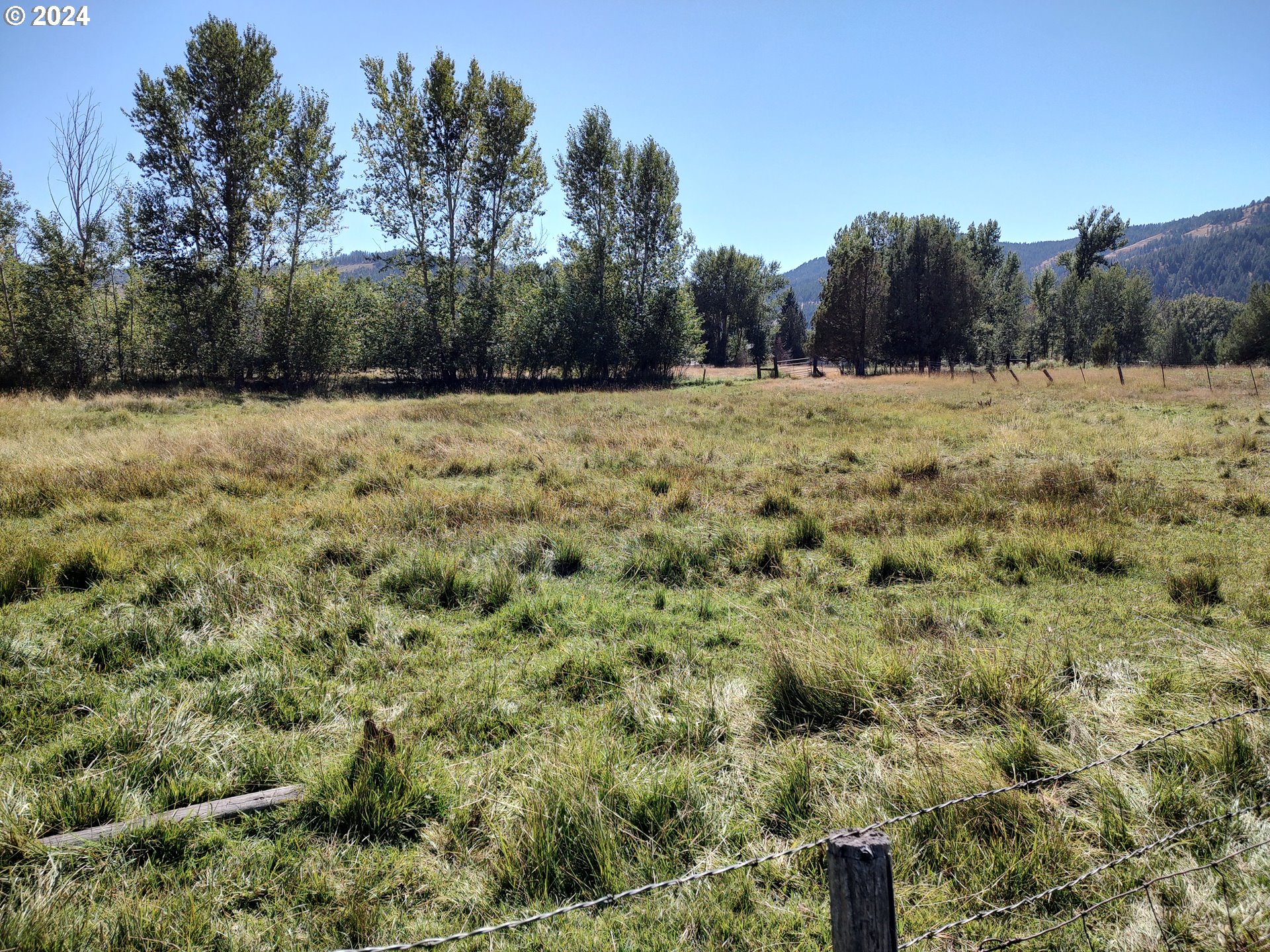 75657 Upper Diamond Lane Wallowa, OR 97885 - Photo 12 of 21 a view of a field with trees in the background