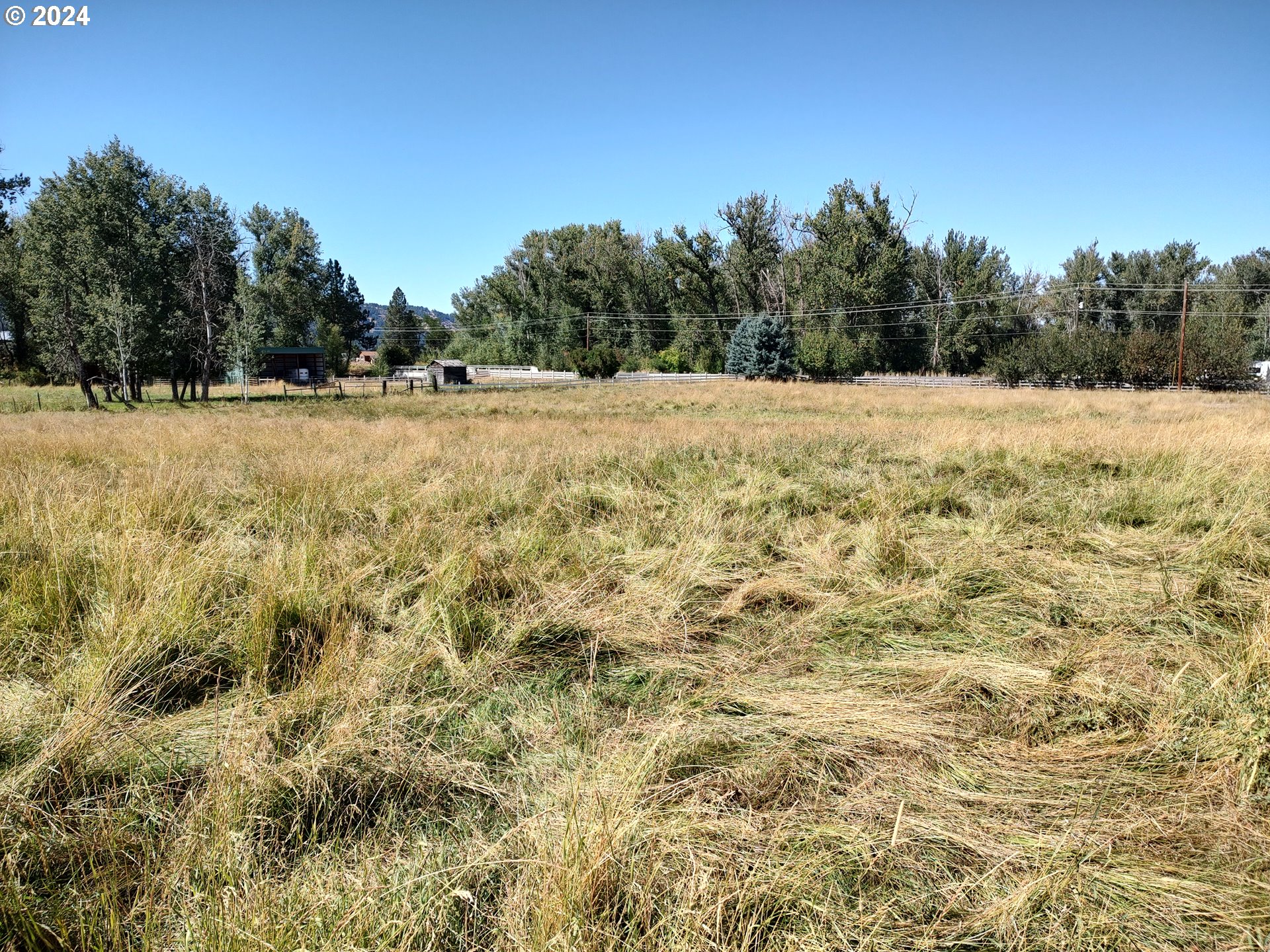 75657 Upper Diamond Lane Wallowa, OR 97885 - Photo 3 of 21 a view of a yard with trees