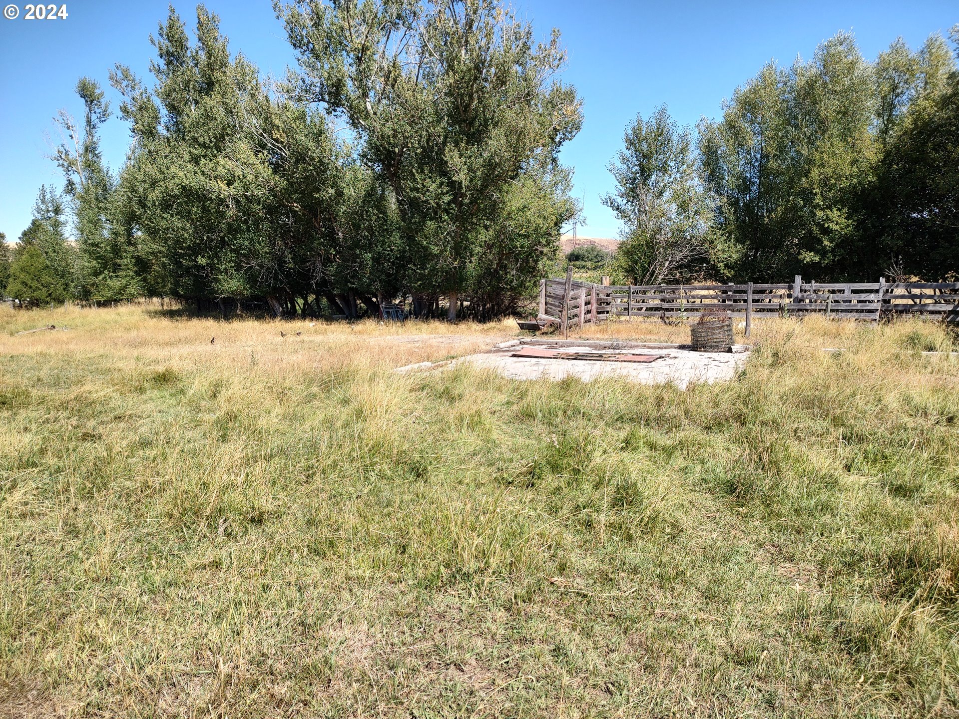 75657 Upper Diamond Lane Wallowa, OR 97885 - Photo 7 of 21 a view of swimming pool with large trees