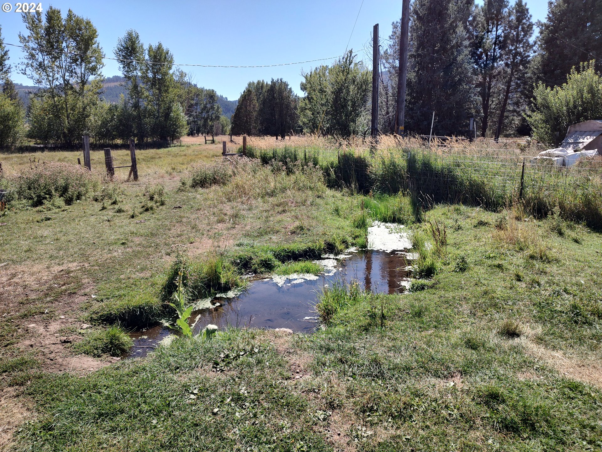 75657 Upper Diamond Lane Wallowa, OR 97885 - Photo 8 of 21 a view of a yard with large trees