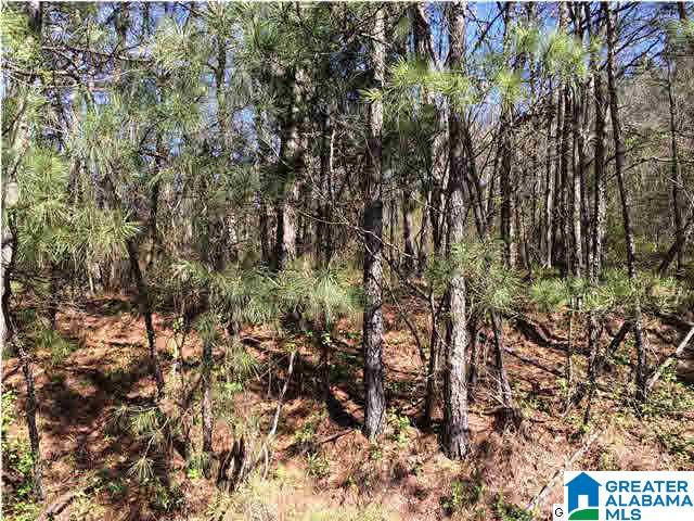 79 Highway 79, Unit 3 9 Cleveland, AL 35049 - Photo 21 of 21