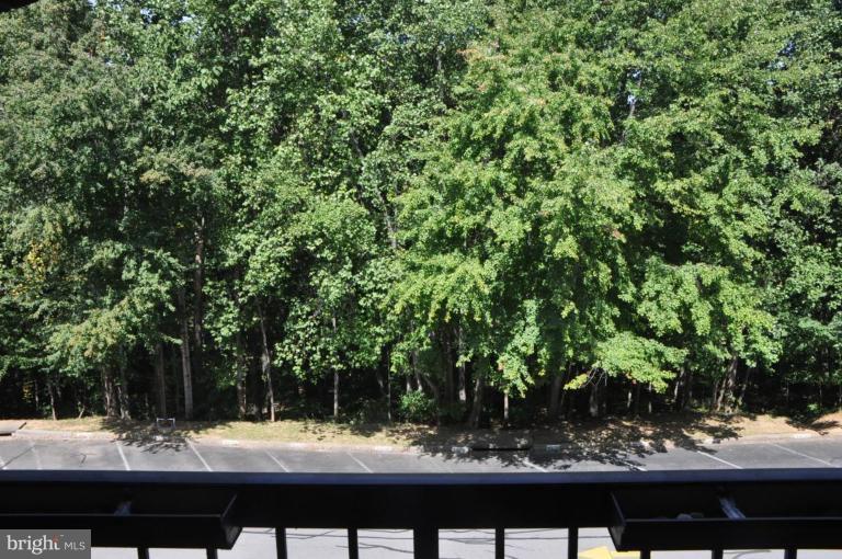 11240 Chestnut Grove Square, Unit 258 Reston, VA 20190 - Photo 19 of 19 a view of a backyard of the house