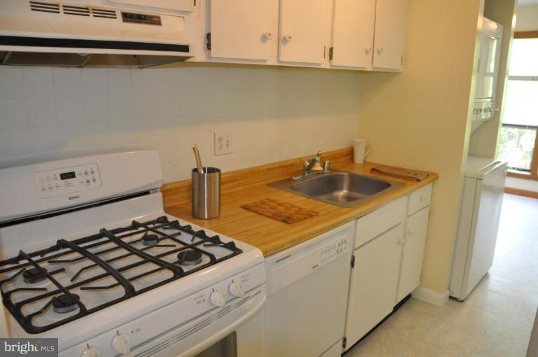 11240 Chestnut Grove Square, Unit 258 Reston, VA 20190 - Photo 6 of 19 a kitchen with sink and cabinets
