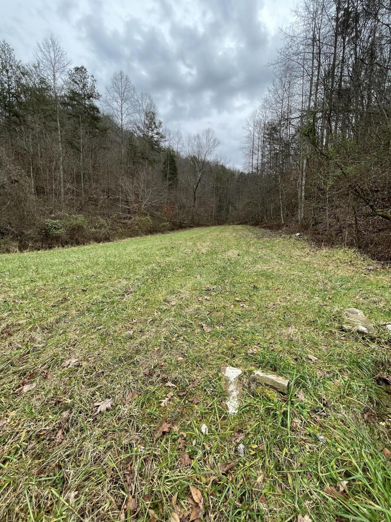 4617 Crane Creek Road Manchester, KY 40962 - Photo 36 of 53 99949026-6F76-437D-AFB8-9B54EB9D90CB