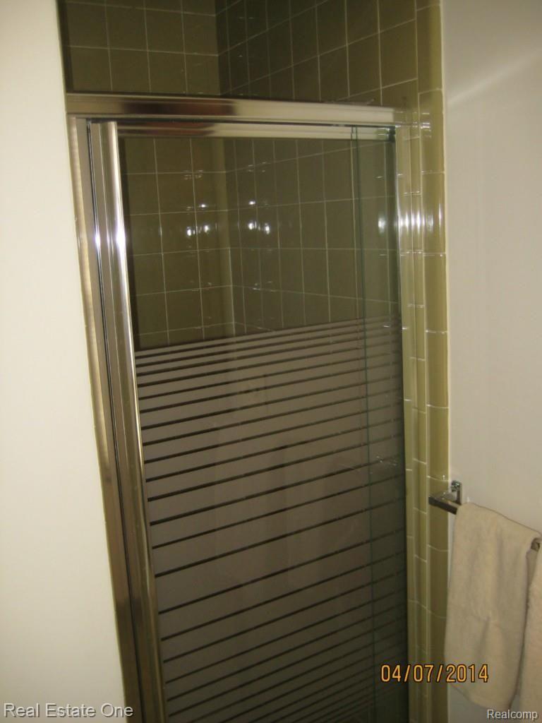 23109 Meadowbrook Road Novi, MI 48375 - Photo 16 of 31 Shower in Master Bath