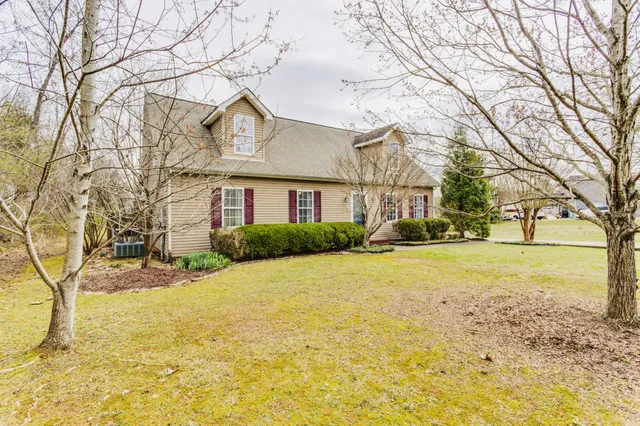 a view of swimming pool with lawn chairs and large trees