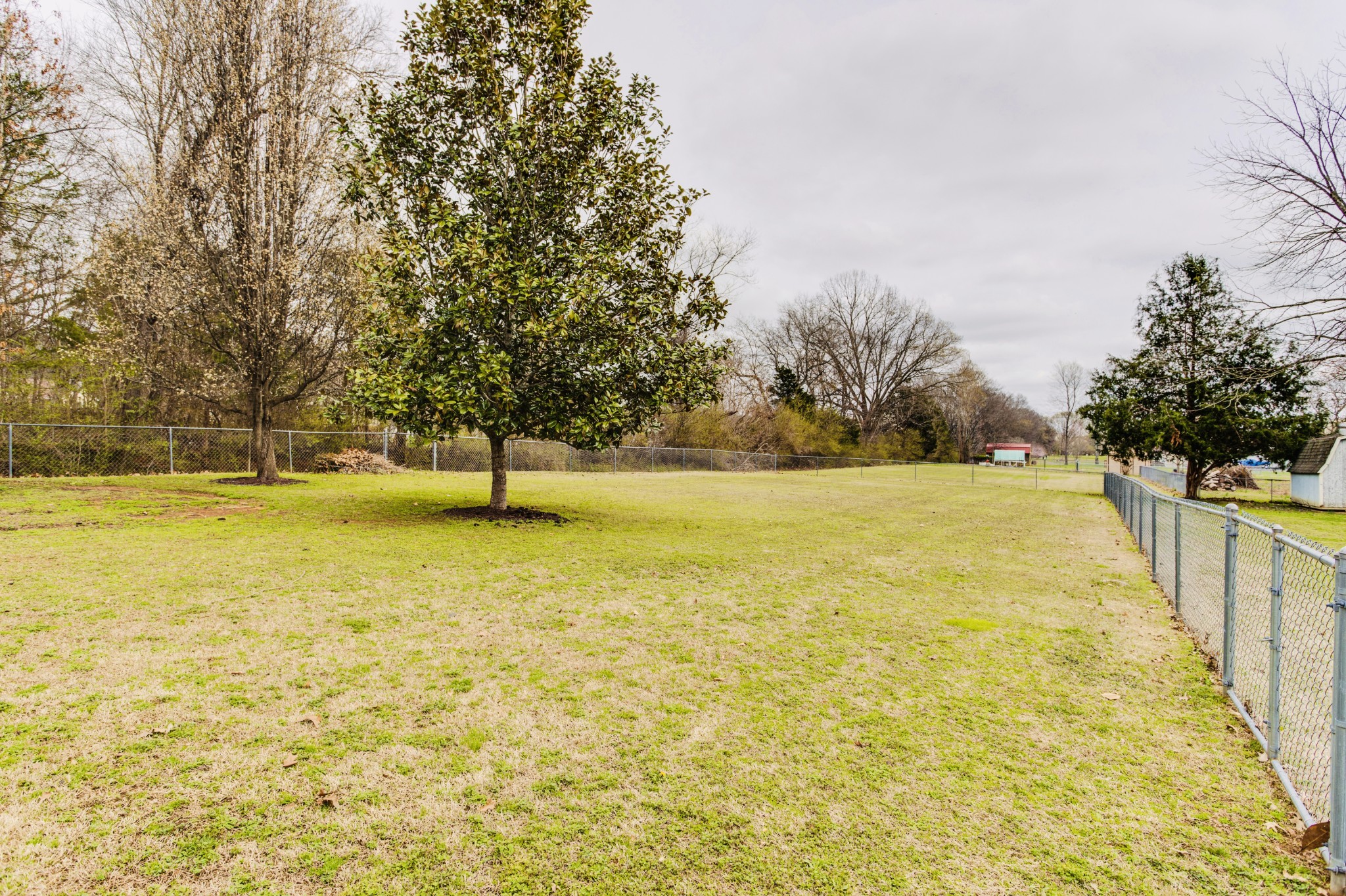 1482 Overton Court Rockvale, TN 37153 - Photo 50 of 58 a view of swimming pool with trees