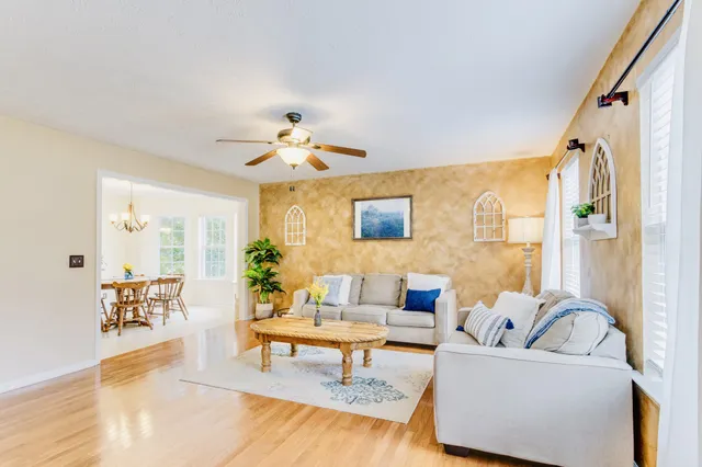 a living room with furniture and a potted plant