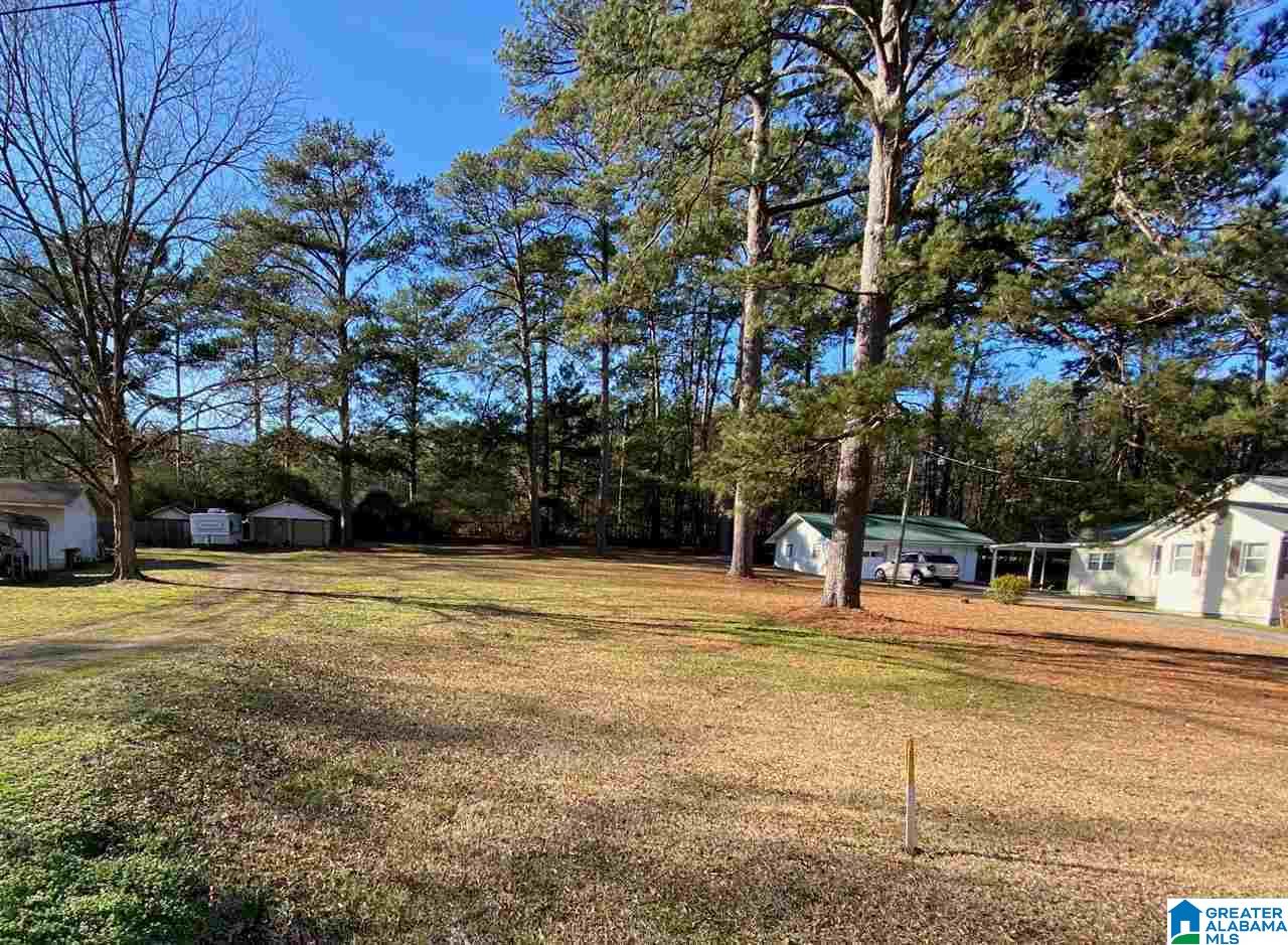 440 Del Rio Drive Birmingham, AL 35235 - Photo 3 of 3