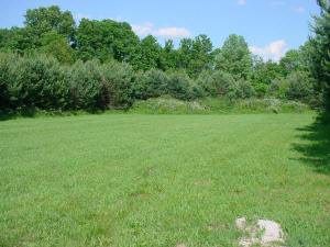399 Poplar Springville, IN 47462 - Photo 3 of 7