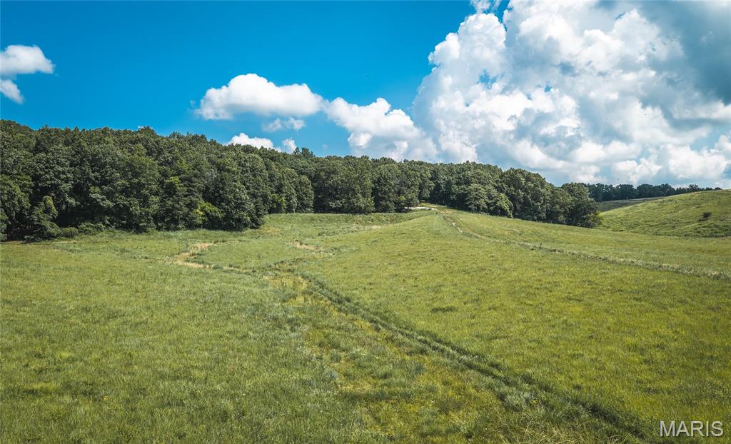 2924 Bess Hollow Road Kampsville, IL 62053 - Photo 82 of 96