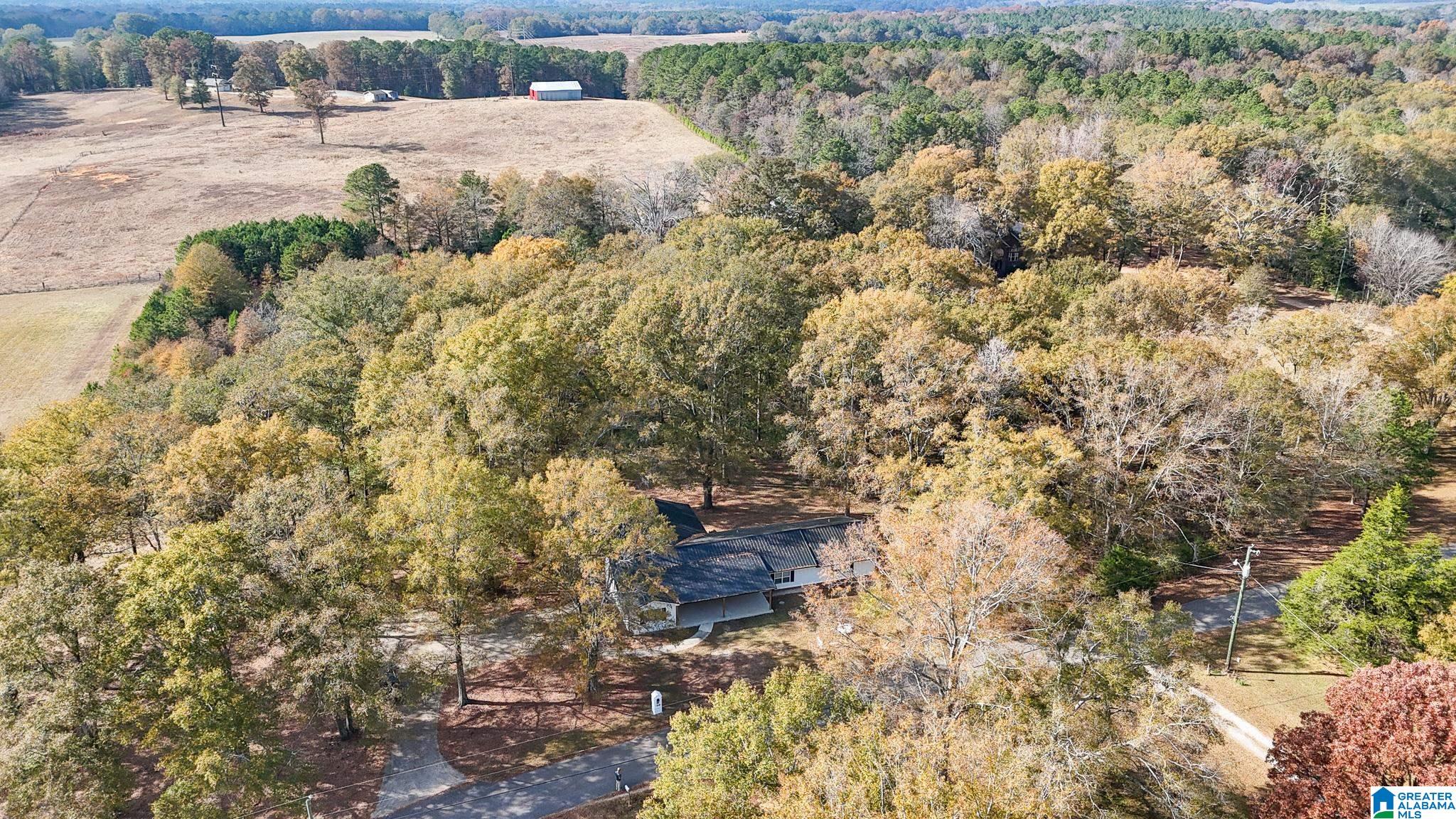 319 Henderson Road Lincoln, AL 35096 - Photo 15 of 49