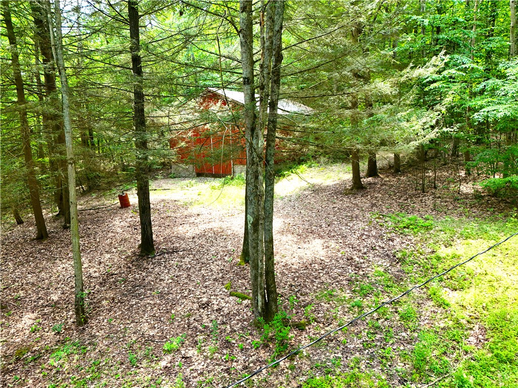 8021 Hickory Hill Road Bath, NY 14810 - Photo 24 of 44