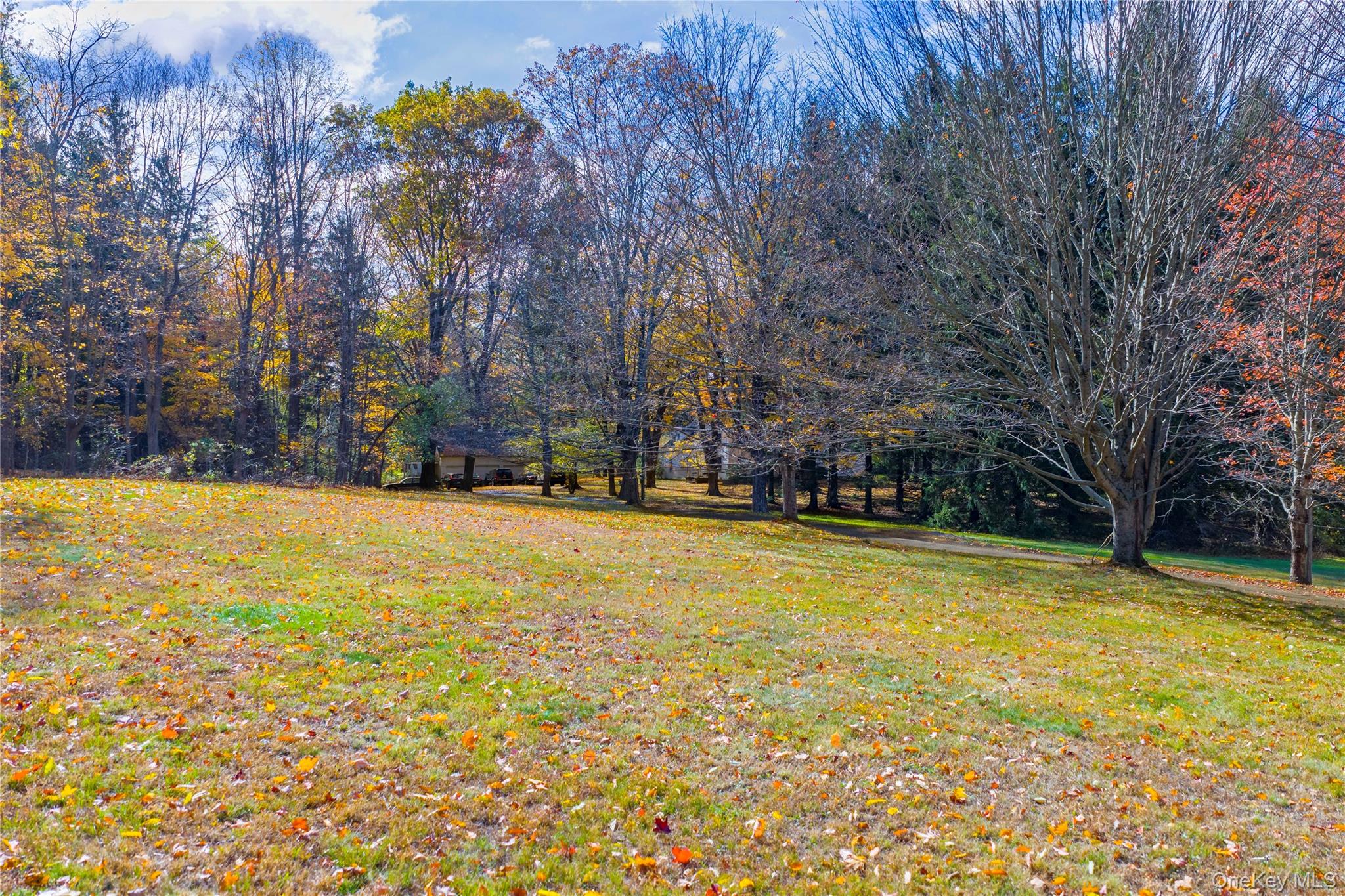64 South Quaker Hill Road Pawling, NY 12564 - Photo 12 of 46 a view of swimming pool with trees