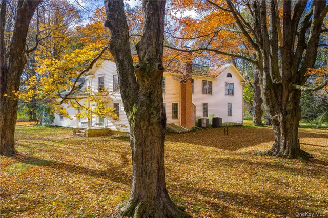 a view of yard with trees