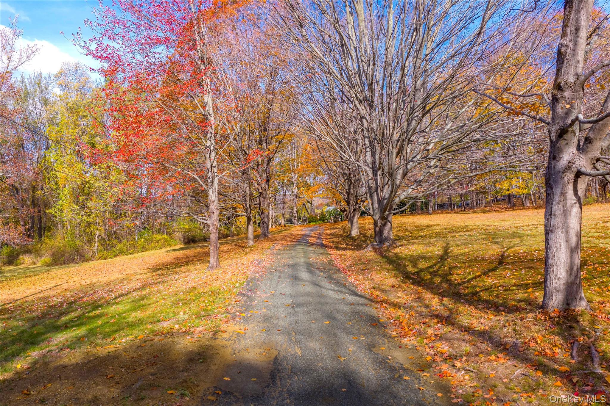 64 South Quaker Hill Road Pawling, NY 12564 - Photo 9 of 46 a view of yard with trees
