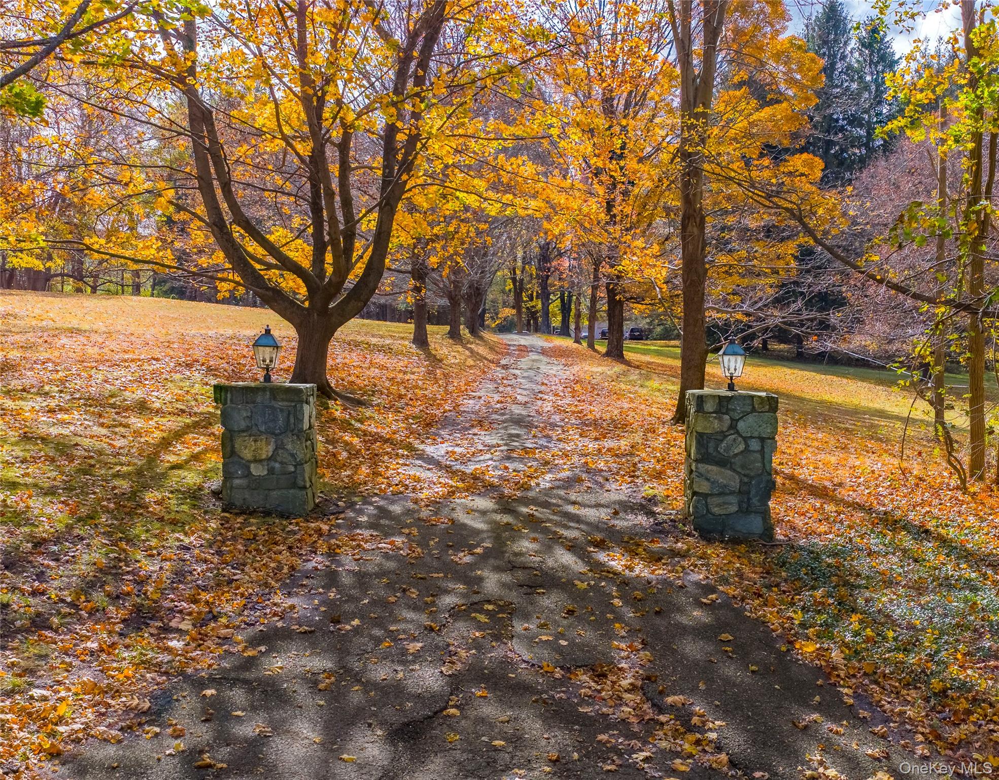 64 South Quaker Hill Road Pawling, NY 12564 - Photo 10 of 46 a view of a trees with a yard