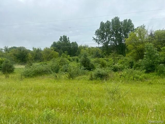 10.63-acre Lapeer Road Davison, MI 48423 - Photo 3 of 6
