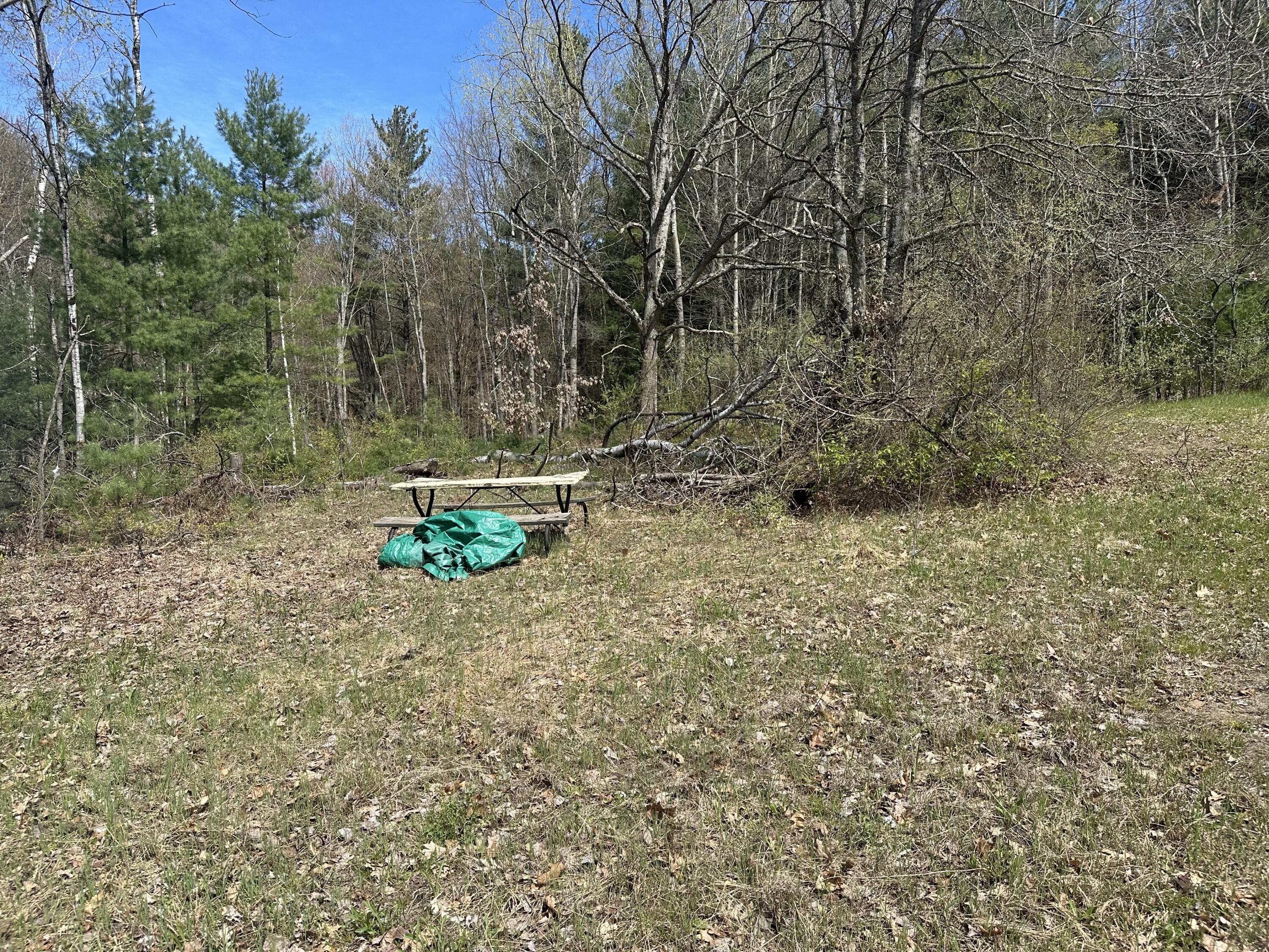 0 South Shepperd Road Branch, MI 49402 - Photo 12 of 15 IMG_8739